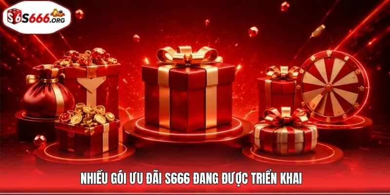 Nhiều gói ưu đãi S666 đang được triển khai